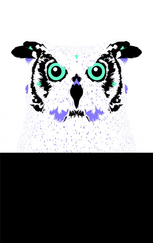 owl_02